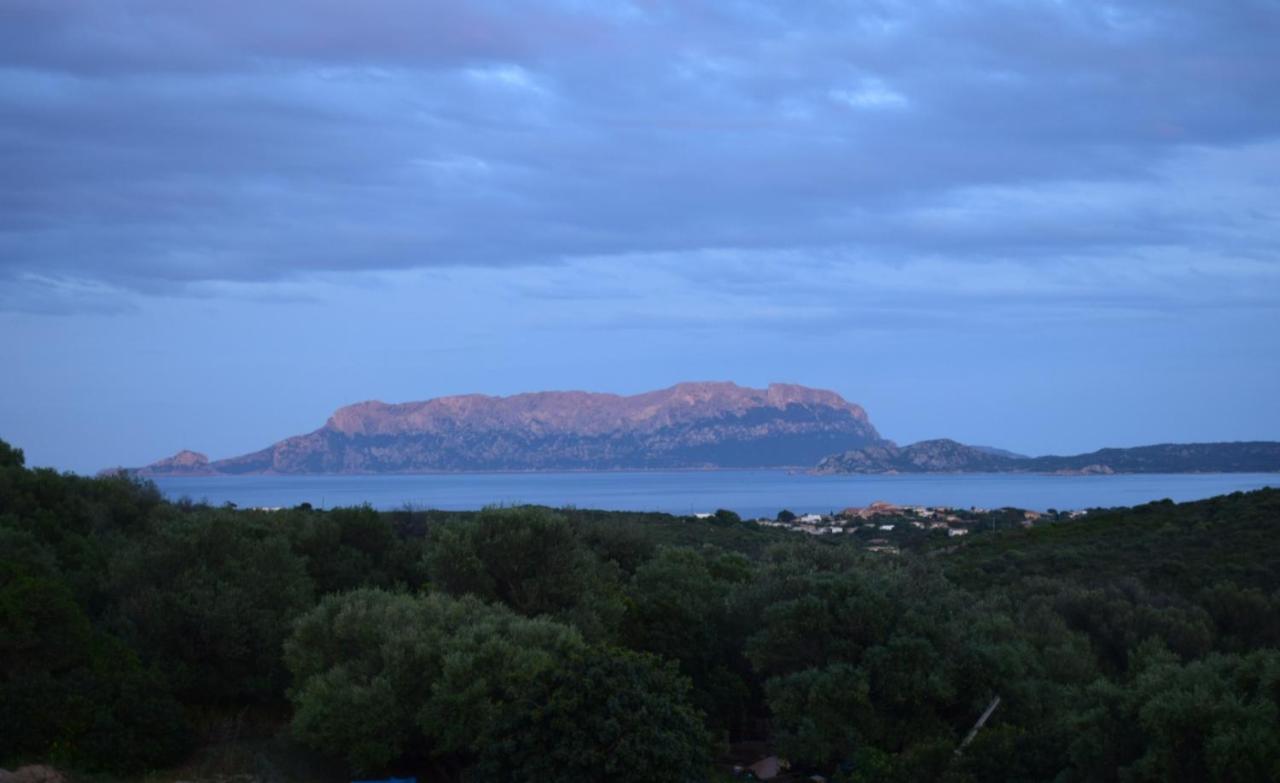Sa Domitta Di Suiles Apartman Olbia Kültér fotó